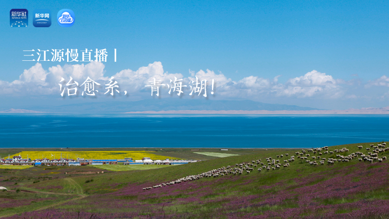 三江源慢直播丨治愈系，青海湖！